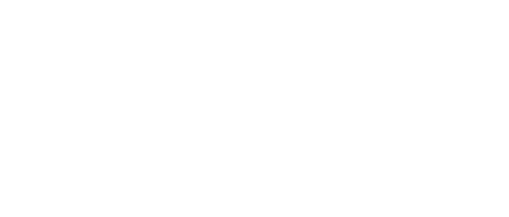 Valencia smiling seal veterinary hospital logo.