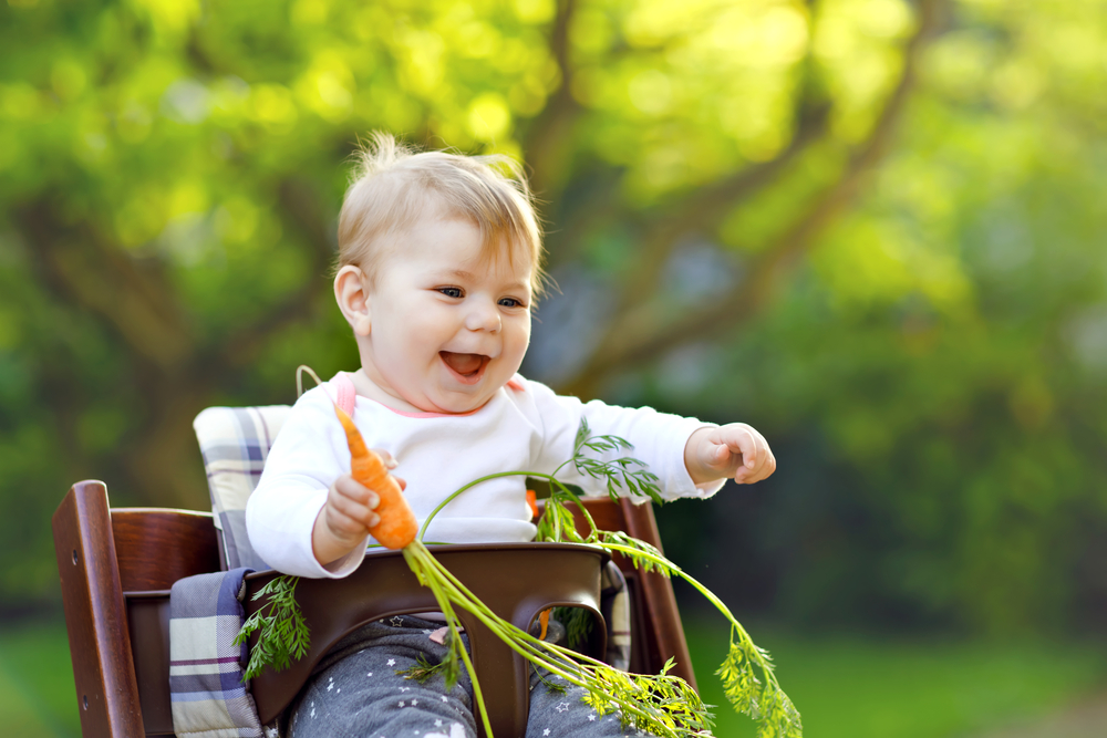A baby is sitting in a high chair holding carrots.