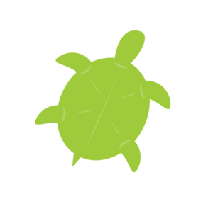 A green turtle on a white background.