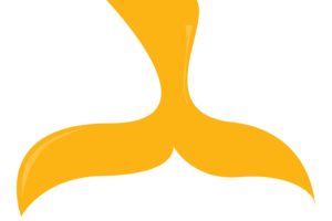 A yellow whale tail on a black background.